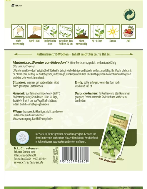 Erbsensamen 'Wunder von Kelvedon'
