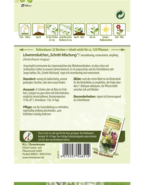 Garten-Löwenmaul-Samen