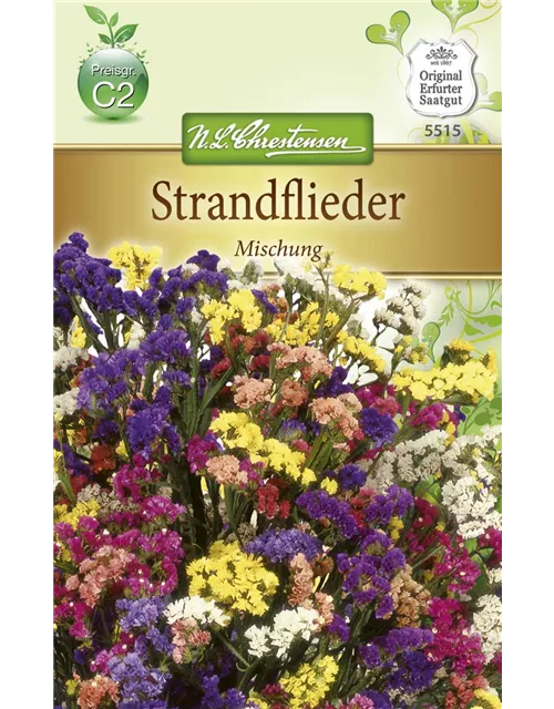 Geflügelter Strandfliedersamen