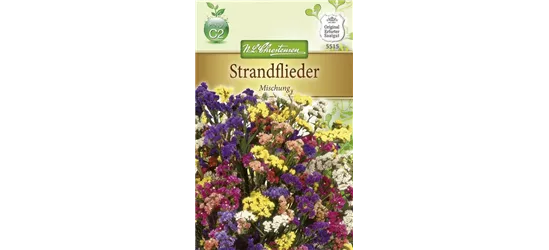 Geflügelter Strandfliedersamen