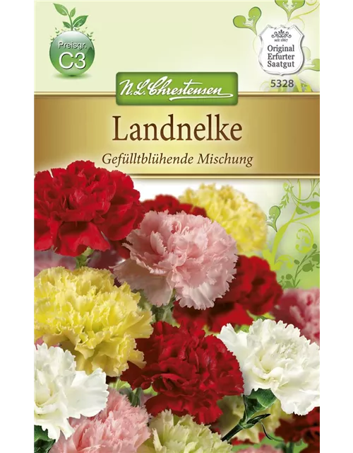 Gefüllte Gartennelkensamen