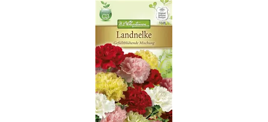 Gefüllte Gartennelkensamen