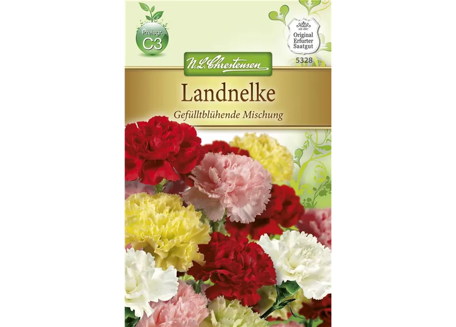 Gefüllte Gartennelkensamen