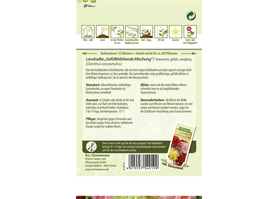Gefüllte Gartennelkensamen