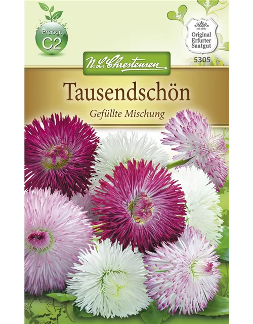 Gefülltes Gänseblümchen-Samen