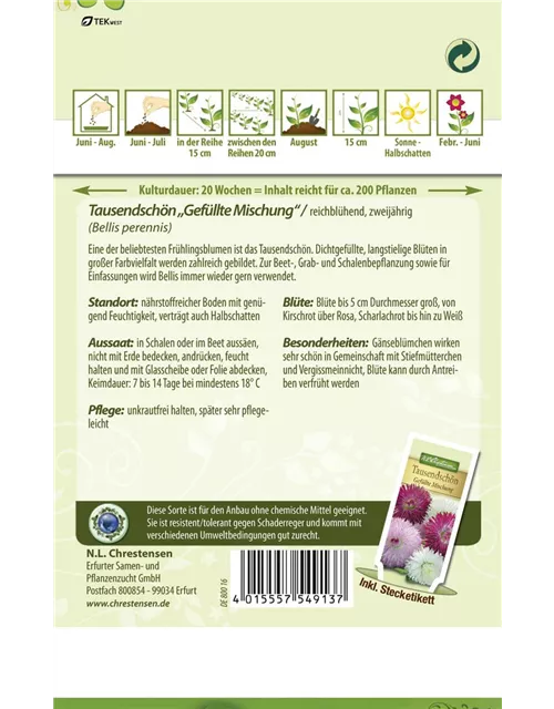 Gefülltes Gänseblümchen-Samen