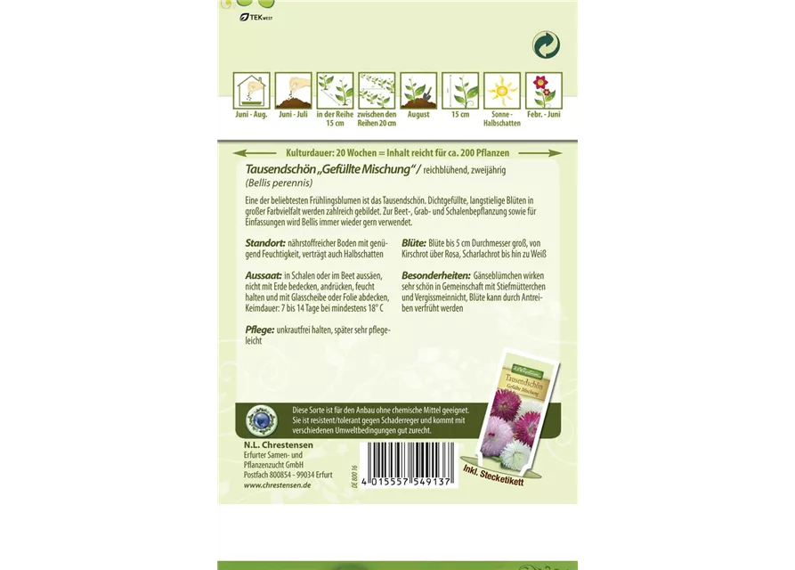 Gefülltes Gänseblümchen-Samen