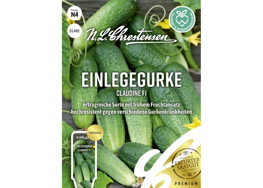 Gurkensamen 'Claudine F1'