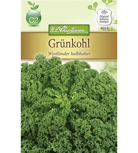 Grünkohlsamen 'Westländer halbhoher'