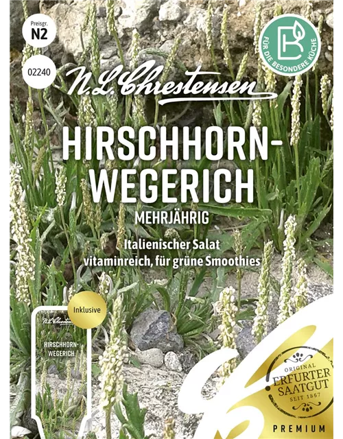 Hirschhorn-Wegerich-Samen