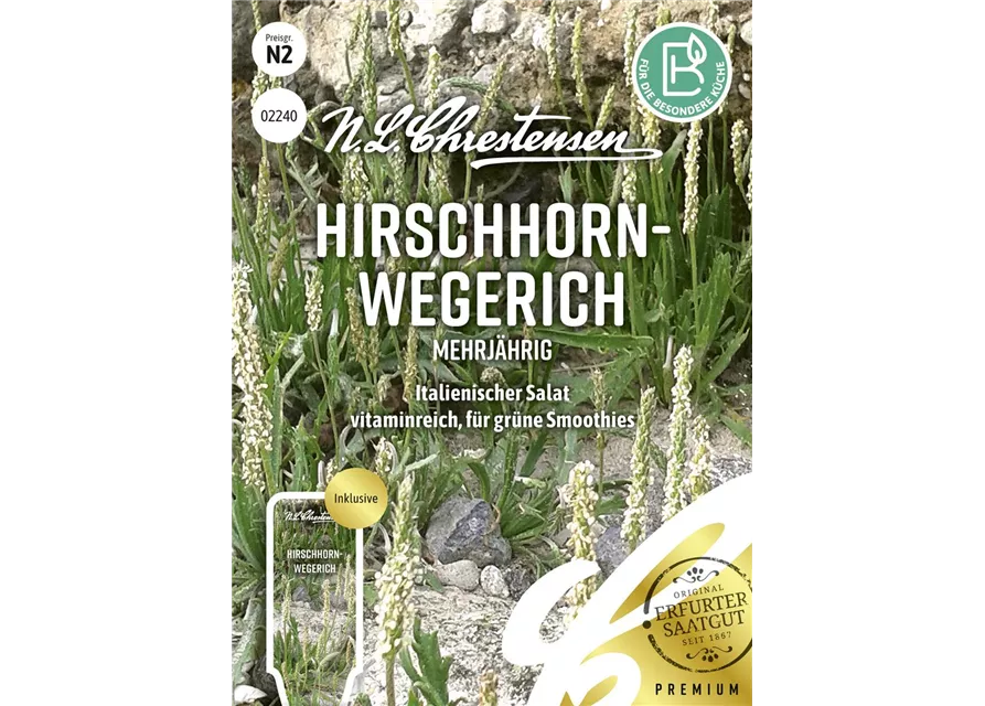 Hirschhorn-Wegerich-Samen