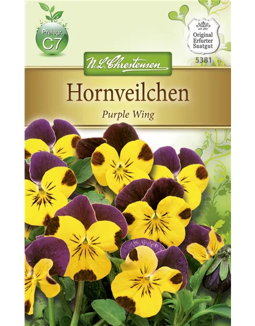 Hornveilchensamen 'Gold Purple Wing'