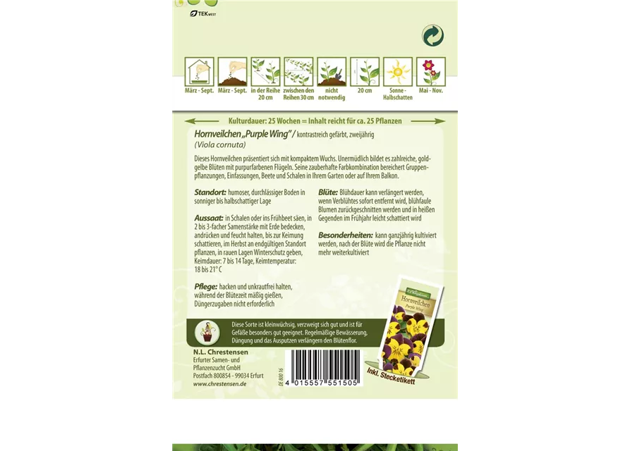 Hornveilchensamen 'Gold Purple Wing'