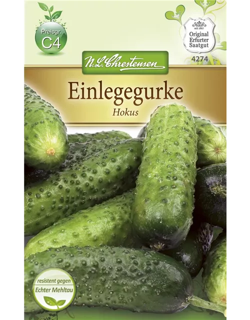 Gurkensamen 'Hokus'