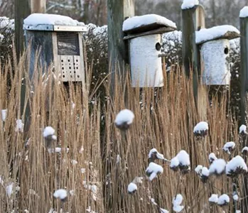 WEIHNACHTLICHE STIMMUNG IM GARTEN