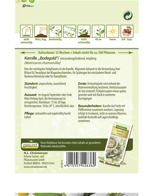 Kamillesamen 'Bodegold'