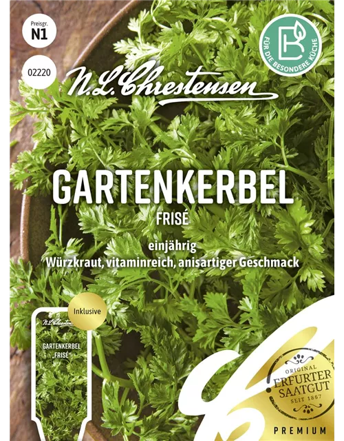 Kerbelsamen 'Frisé'