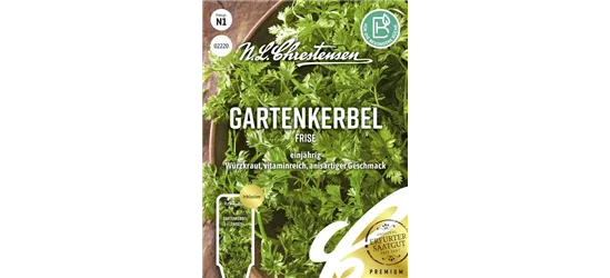 Kerbelsamen 'Frisé'