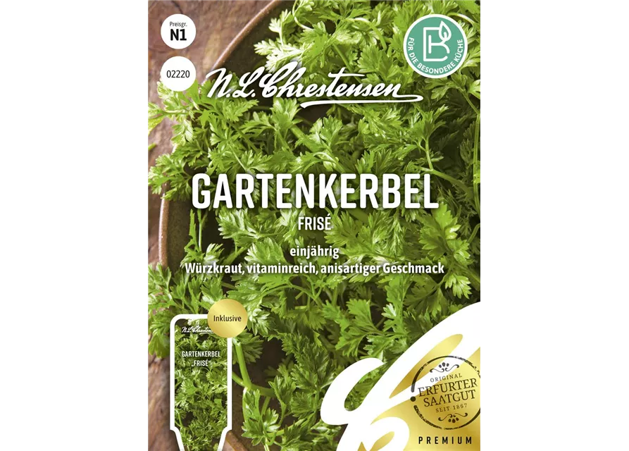 Kerbelsamen 'Frisé'