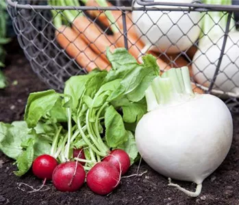 ERNTEGUT HALTBAR MACHEN