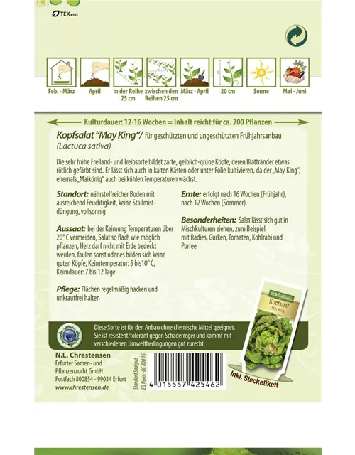 Kopfsalatsamen 'May King'