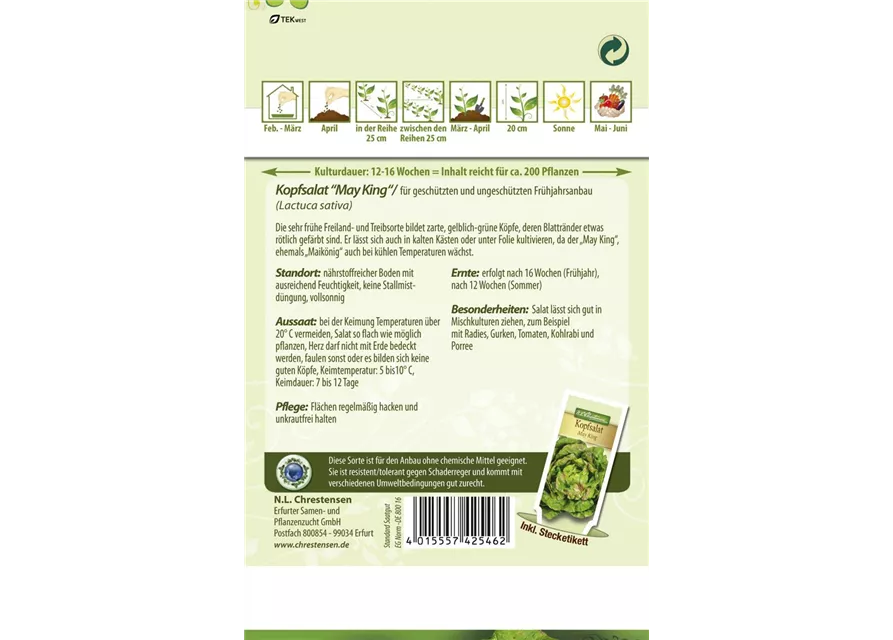 Kopfsalatsamen 'May King'
