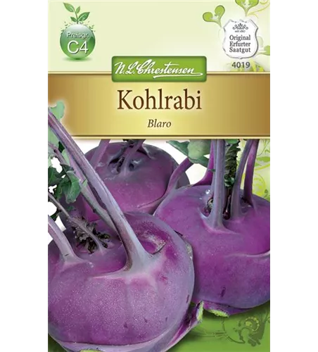 Kohlrabisamen 'Blaro'