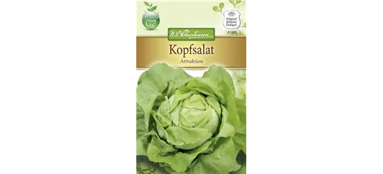 Kopfsalatsamen 'Attraktion'
