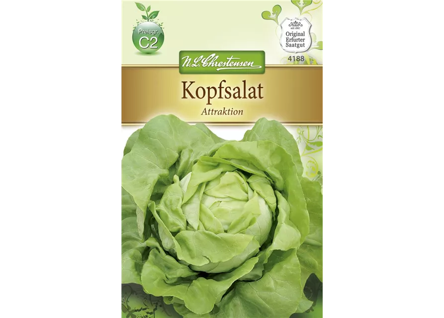 Kopfsalatsamen 'Attraktion'