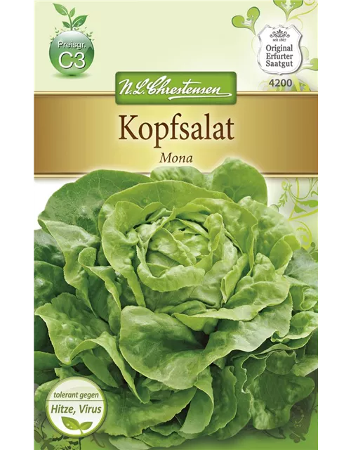 Kopfsalatsamen 'Mona'