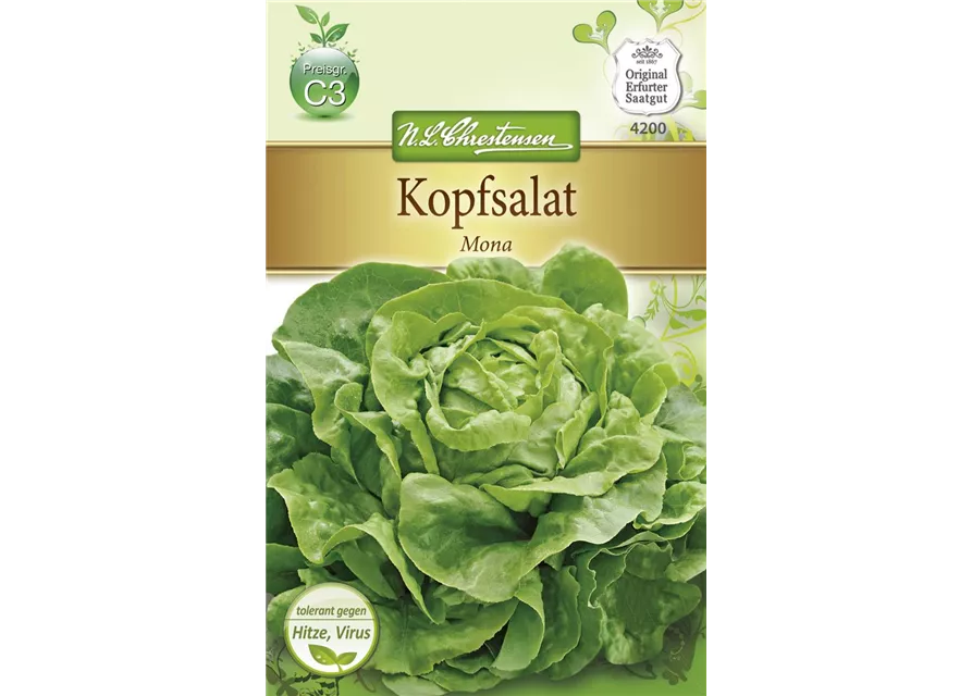 Kopfsalatsamen 'Mona'
