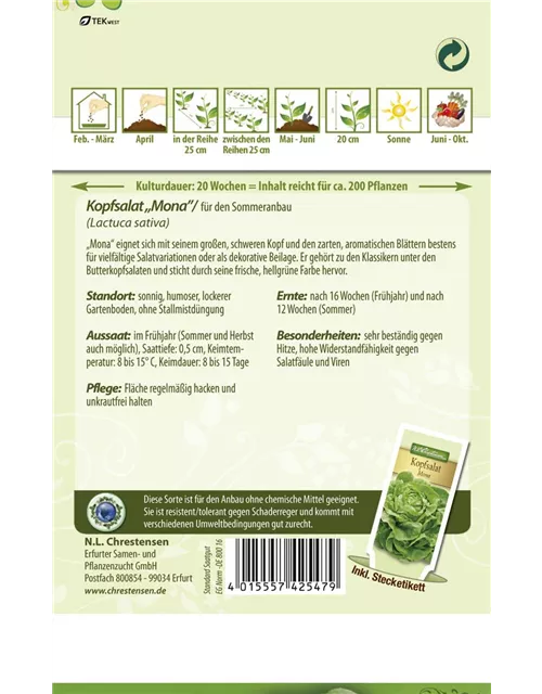 Kopfsalatsamen 'Mona'