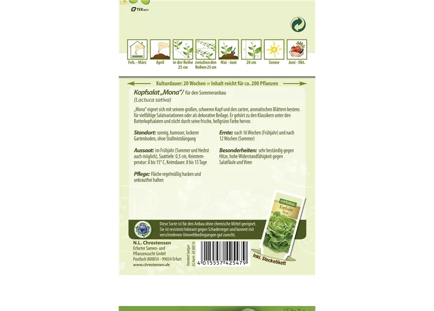 Kopfsalatsamen 'Mona'