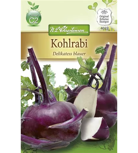 Kohlrabisamen 'Blauer Delikatess'