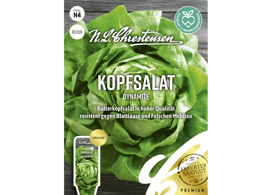 Kopfsalatsamen 'Dynamite'