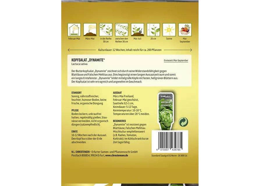 Kopfsalatsamen 'Dynamite'
