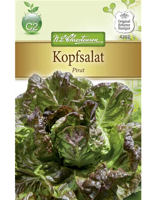 Kopfsalatsamen 'Pirat'