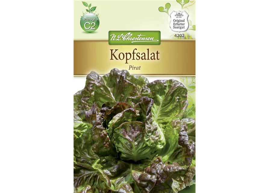 Kopfsalatsamen 'Pirat'