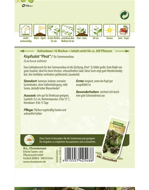 Kopfsalatsamen 'Pirat'