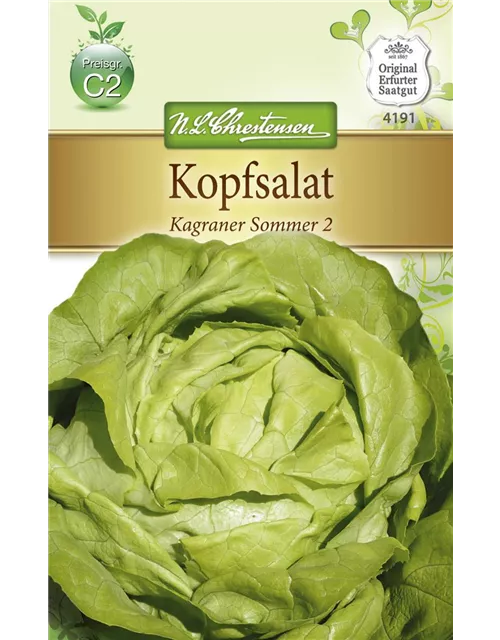 Kopfsalatsamen 'Kagraner Sommer 2'