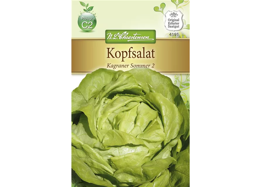 Kopfsalatsamen 'Kagraner Sommer 2'