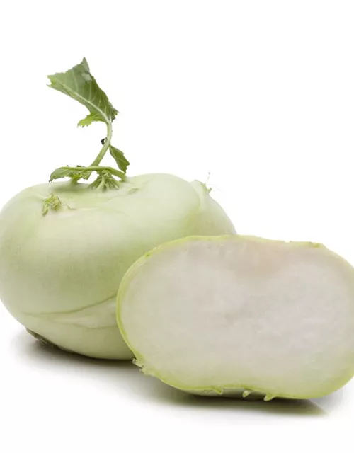 Kohlrabi 'Gigant'