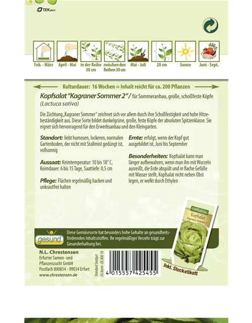 Kopfsalatsamen 'Kagraner Sommer 2'