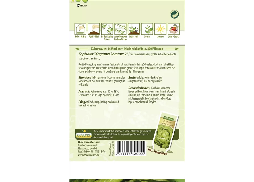 Kopfsalatsamen 'Kagraner Sommer 2'