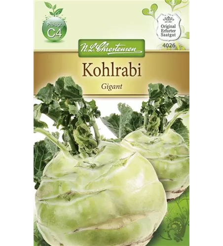 Kohlrabisamen 'Gigant'
