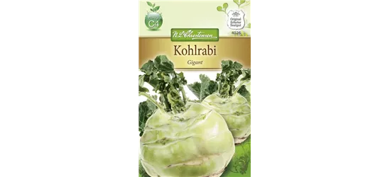 Kohlrabisamen 'Gigant' Kohlrabisamen 'Gigant'