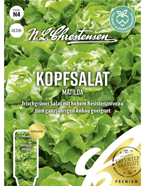 Kopfsalatsamen 'Matilda'