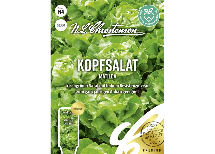 Kopfsalatsamen 'Matilda'