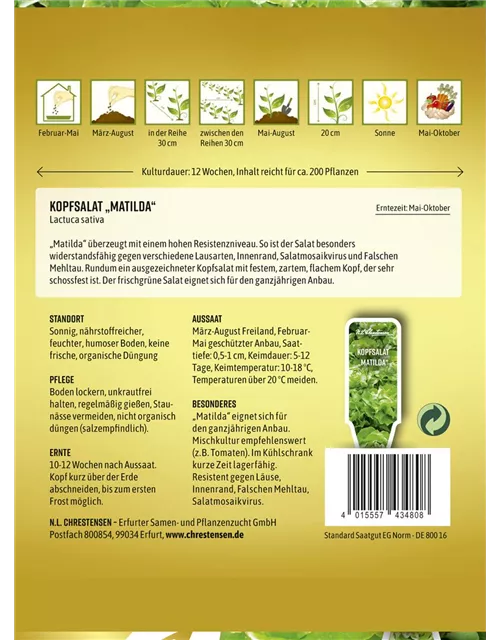 Kopfsalatsamen 'Matilda'