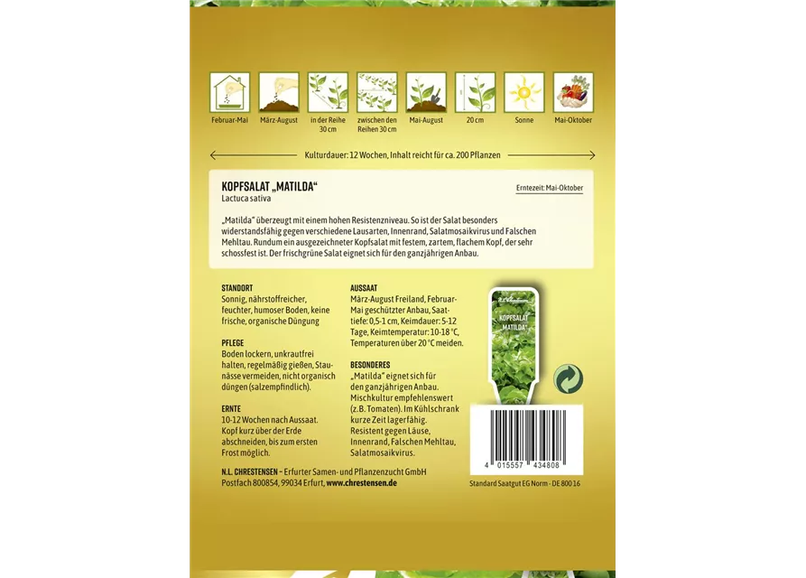 Kopfsalatsamen 'Matilda'